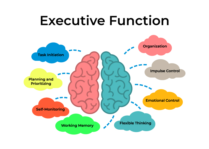 executive-functioning-iep-goals-your-therapy-source