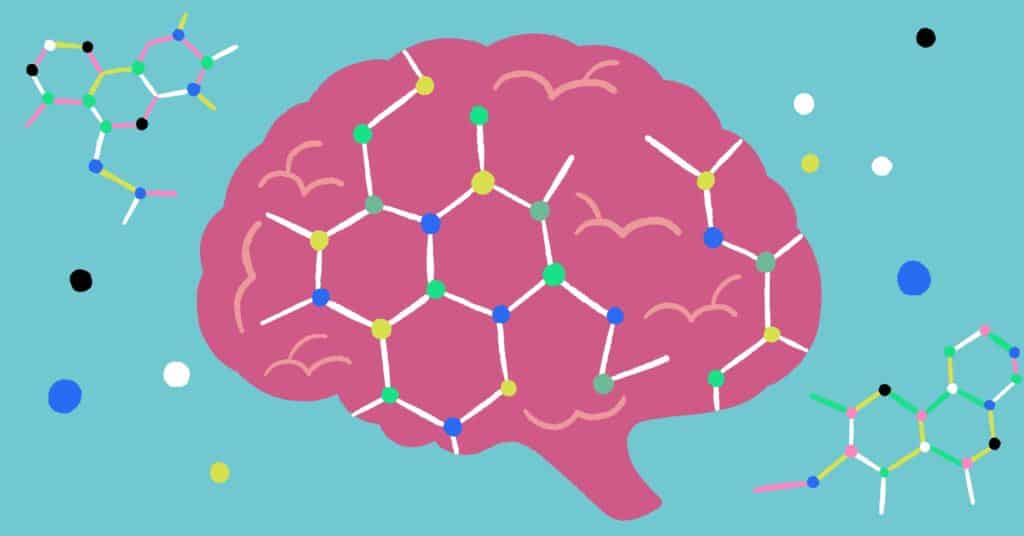 What Are Neurotransmitters Adhd 1024x536 1 image