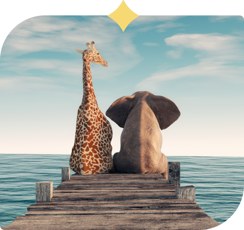 Giraffe and Elephant mobile bg 3